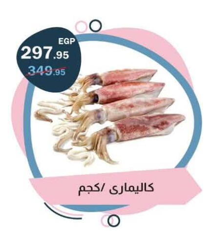 available at Flamingo Hyper Market in Egypt - Cairo