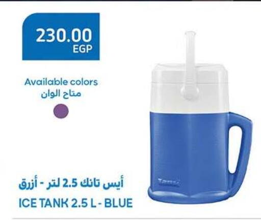 available at الرايه  ماركت in Egypt - القاهرة