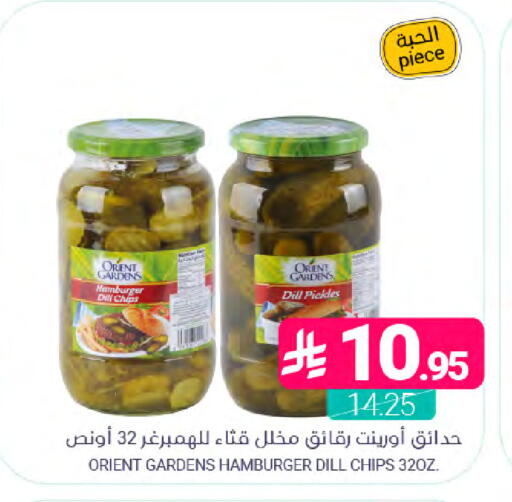 Dill available at Muntazah Markets in KSA, Saudi Arabia, Saudi - Saihat