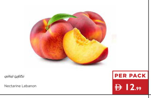 Nectarine from Lebanon available at إسطنبول سوبرماركت in الإمارات العربية المتحدة , الامارات - ٱلْعَيْن‎