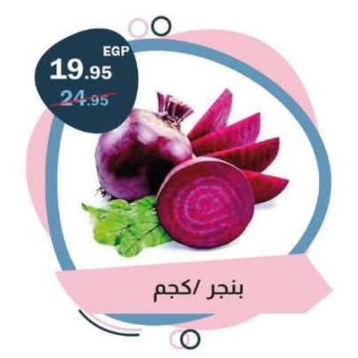 available at فلامنجو هايبرماركت in Egypt - القاهرة