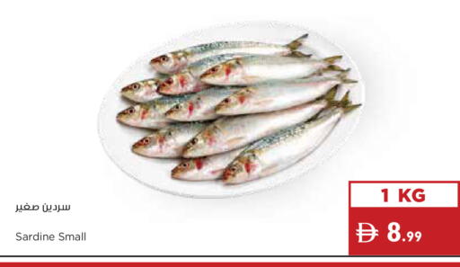 available at إسطنبول سوبرماركت in الإمارات العربية المتحدة , الامارات - ٱلْعَيْن‎