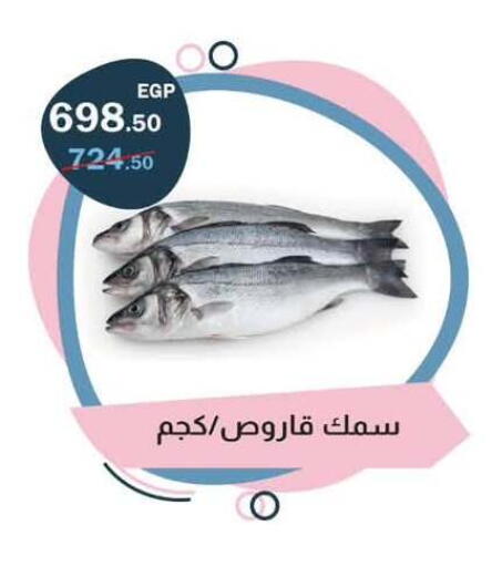 available at Flamingo Hyper Market in Egypt - Cairo