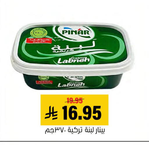 available at Al Amer Market in KSA, Saudi Arabia, Saudi - Al Hasa