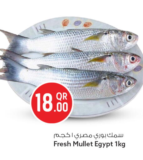 available at سفاري هايبر ماركت in قطر - الوكرة