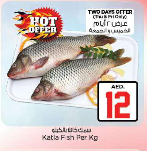 available at Nesto Hypermarket in UAE - Fujairah