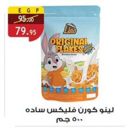 available at الرايه  ماركت in Egypt - القاهرة