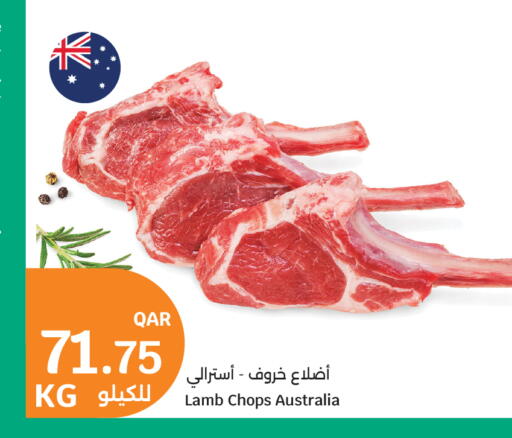 available at City Hypermarket in Qatar - Al Rayyan