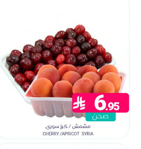 Cherry Apricot from Syria available at Muntazah Markets in KSA, Saudi Arabia, Saudi - Saihat