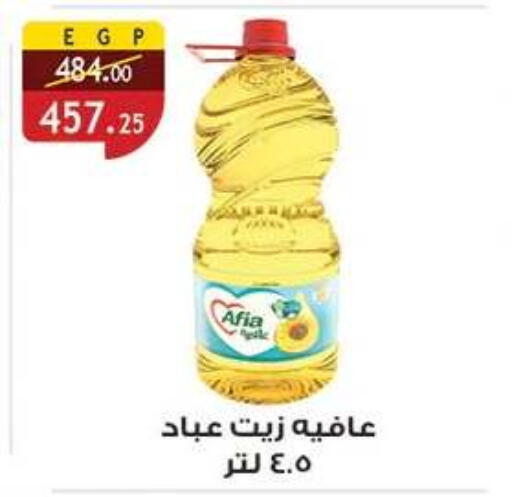 available at الرايه  ماركت in Egypt - القاهرة