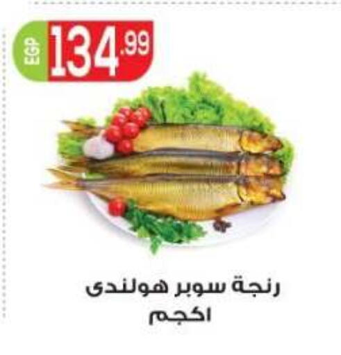 available at أولاد المحاوى in Egypt - القاهرة