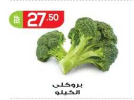available at أولاد المحاوى in Egypt - القاهرة
