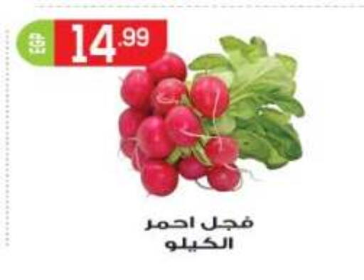 available at أولاد المحاوى in Egypt - القاهرة