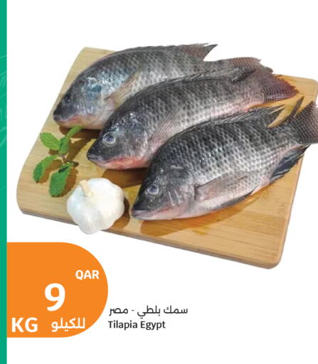 available at سيتي هايبرماركت in قطر - الوكرة