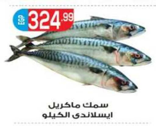 available at أولاد المحاوى in Egypt - القاهرة