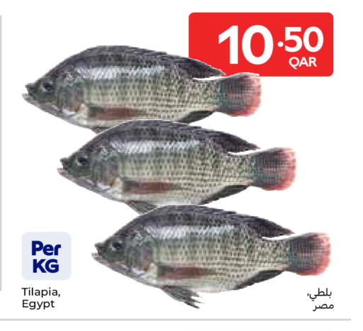 available at كارفور in قطر - الريان