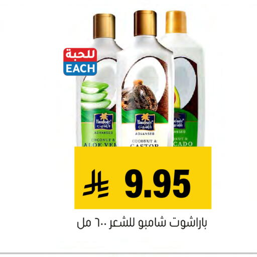 Coconut available at Al Amer Market in KSA, Saudi Arabia, Saudi - Al Hasa