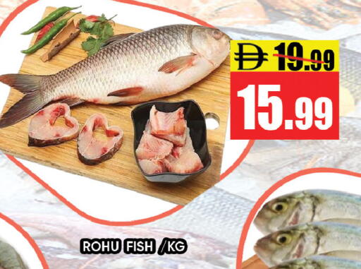 available at ليبتس هايبرماركت in الإمارات العربية المتحدة , الامارات - رَأْس ٱلْخَيْمَة