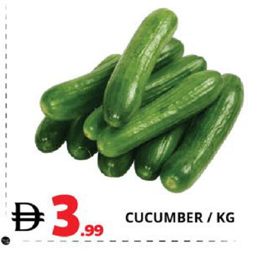 Cucumber available at EXPRESS AL MADEENA HYPERMARKET LLC in UAE - Abu Dhabi