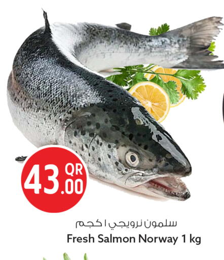 available at سفاري هايبر ماركت in قطر - الوكرة