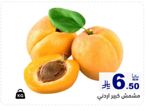 available at أسواق رامز in مملكة العربية السعودية, السعودية, سعودية - القطيف‎
