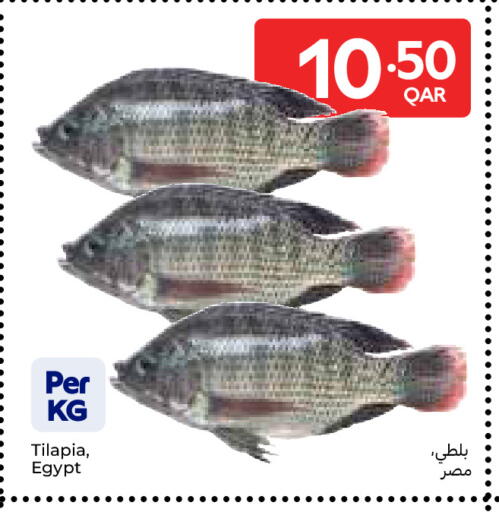 available at كارفور in قطر - الريان