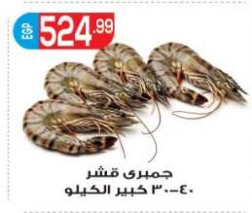 available at أولاد المحاوى in Egypt - القاهرة