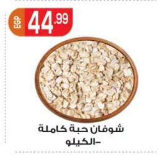 available at أولاد المحاوى in Egypt - القاهرة