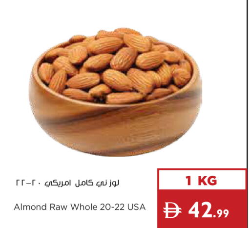 available at إسطنبول سوبرماركت in الإمارات العربية المتحدة , الامارات - ٱلْعَيْن‎