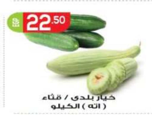 available at أولاد المحاوى in Egypt - القاهرة
