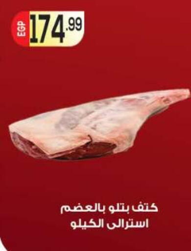 available at أولاد المحاوى in Egypt - القاهرة