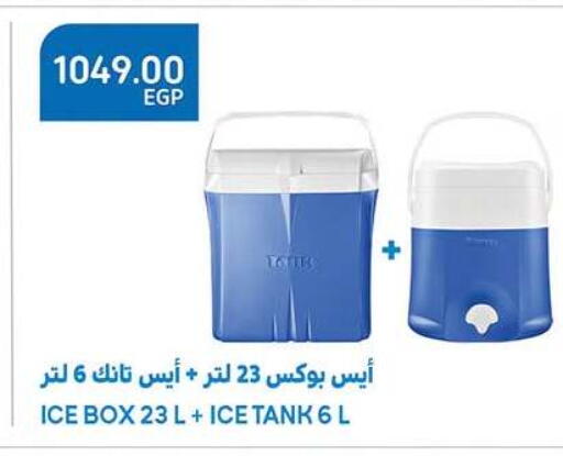 available at الرايه  ماركت in Egypt - القاهرة