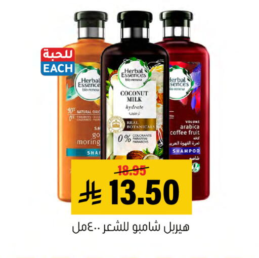 Coconut available at Al Amer Market in KSA, Saudi Arabia, Saudi - Al Hasa