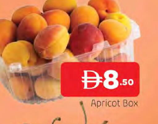 Apricot available at المدينة in الإمارات العربية المتحدة , الامارات - الشارقة / عجمان