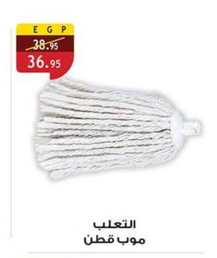 available at Al Rayah Market   in Egypt - Cairo