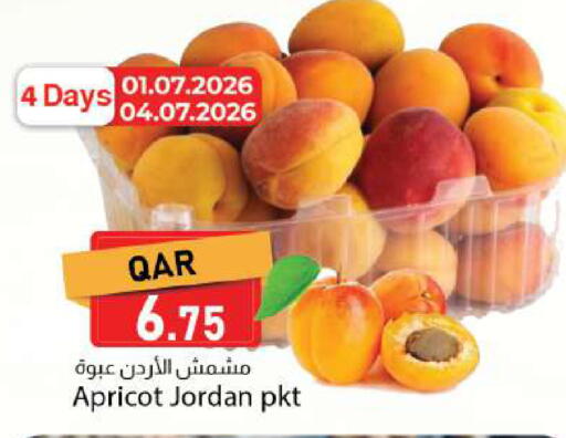 Apricot from Jordan available at دانا ماركت in قطر - أم صلال