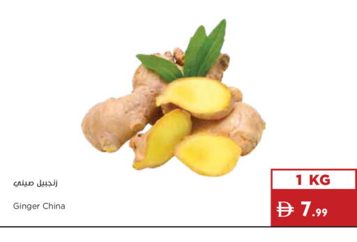 Ginger from China available at إسطنبول سوبرماركت in الإمارات العربية المتحدة , الامارات - ٱلْعَيْن‎