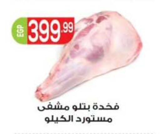 available at أولاد المحاوى in Egypt - القاهرة