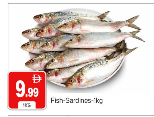 available at سوق طلال in الإمارات العربية المتحدة , الامارات - دبي