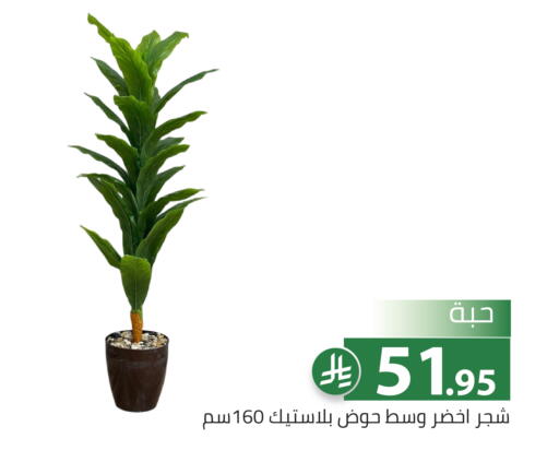 available at Family Discount in KSA, Saudi Arabia, Saudi - Riyadh