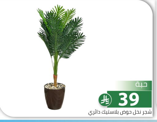 available at Family Discount in KSA, Saudi Arabia, Saudi - Riyadh