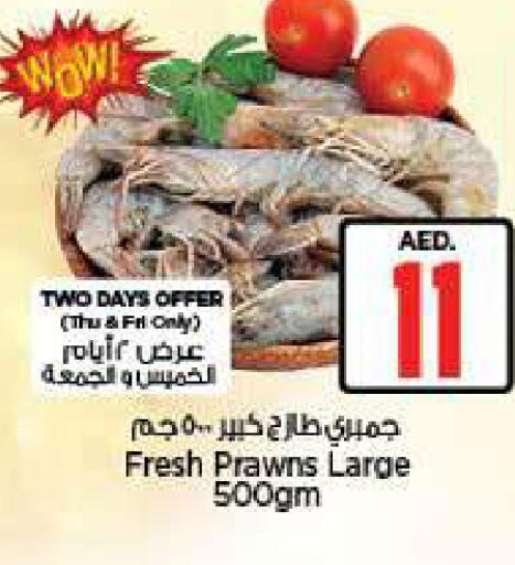available at Nesto Hypermarket in UAE - Fujairah
