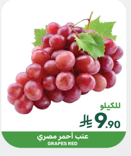 Grapes available at Mazaya in KSA, Saudi Arabia, Saudi - Qatif