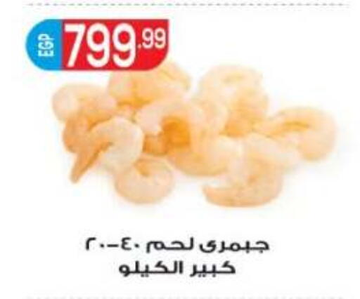 available at أولاد المحاوى in Egypt - القاهرة