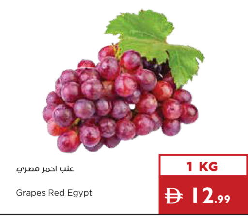 Grapes from Egypt available at إسطنبول سوبرماركت in الإمارات العربية المتحدة , الامارات - ٱلْعَيْن‎
