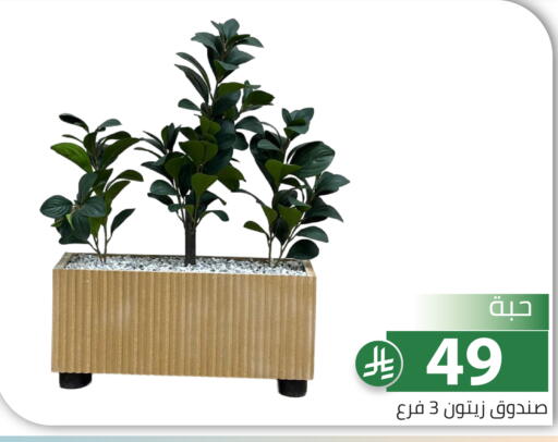 available at Family Discount in KSA, Saudi Arabia, Saudi - Riyadh