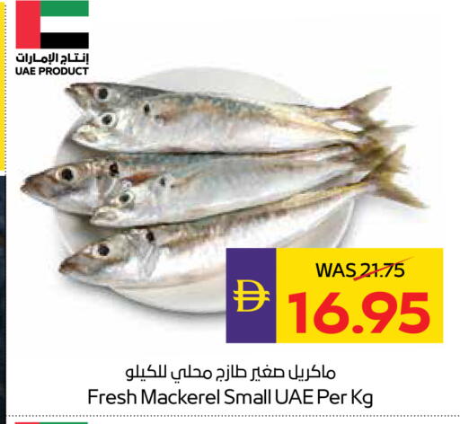 available at أدكووب in الإمارات العربية المتحدة , الامارات - رَأْس ٱلْخَيْمَة