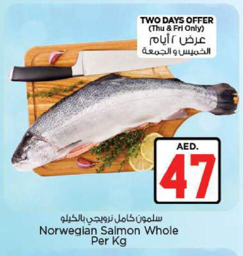 available at نستو هايبرماركت in الإمارات العربية المتحدة , الامارات - ٱلْعَيْن‎