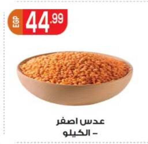 available at أولاد المحاوى in Egypt - القاهرة