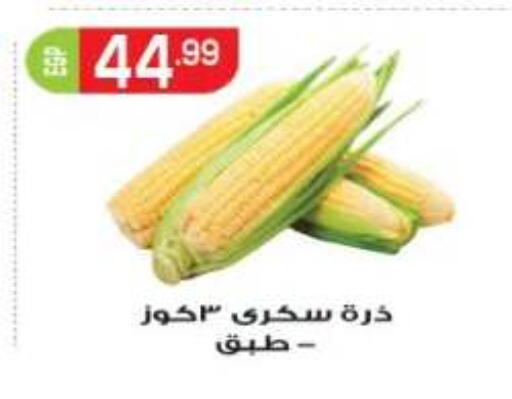 available at أولاد المحاوى in Egypt - القاهرة
